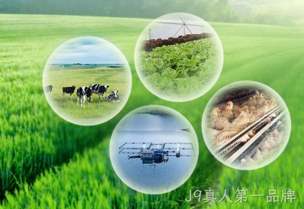 农业物联网智慧农业