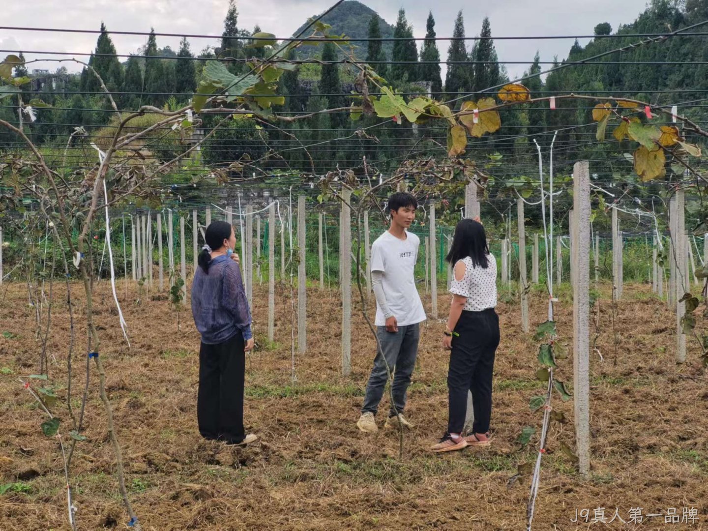 科技特派团到贞丰县农业公司开展技术服务