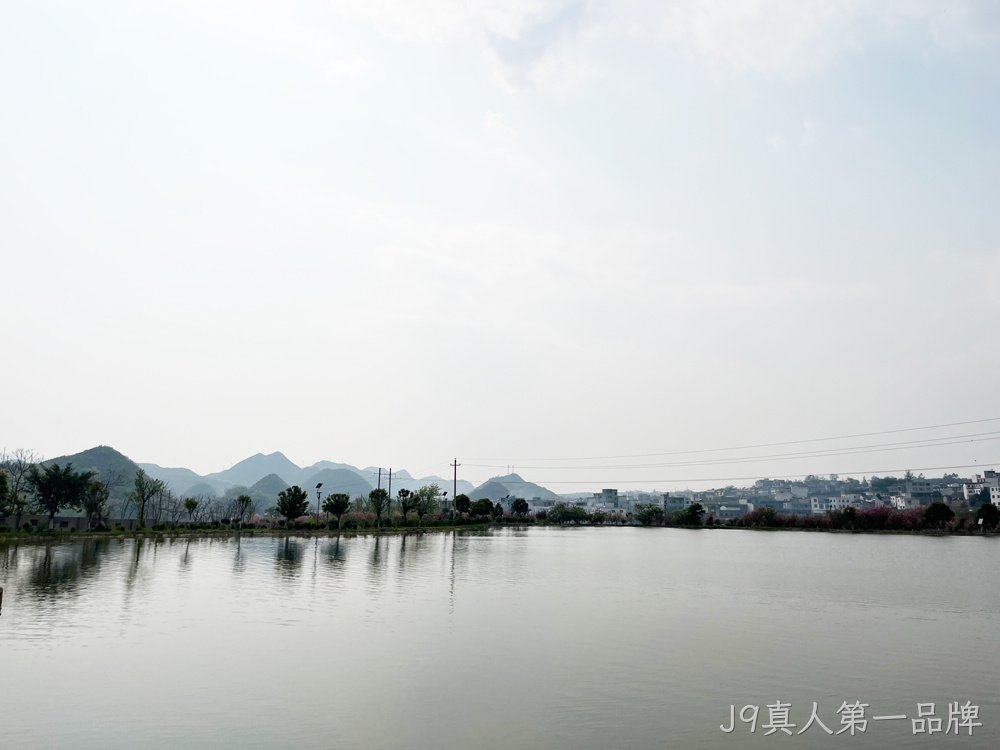 鱼塘